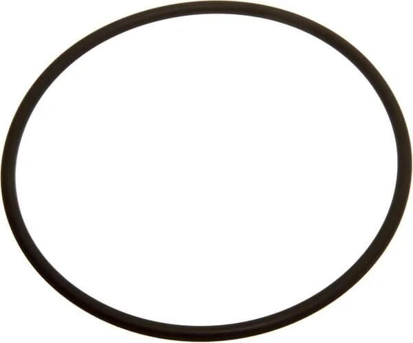 Massey Ferguson AGCO - 152613M1 - Brake O Rings