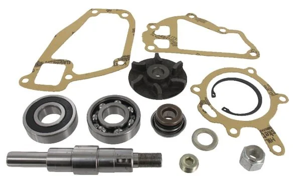 Massey Ferguson AGCO - 3641333M91 - Water Pump Repair Kit