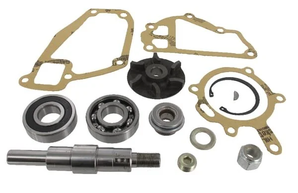 Massey Ferguson AGCO - 3641333M91 - Water Pump Repair Kit