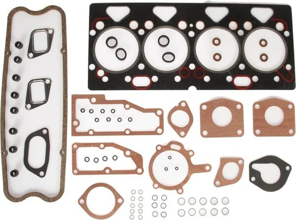 Massey Ferguson AGCO - 4224189Z91 - Complete Engine Kit