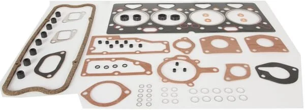 Massey Ferguson AGCO - 4224189Z91 - Complete Engine Kit