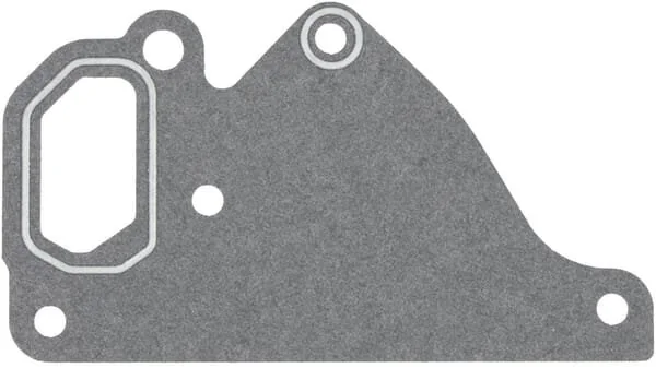 Massey Ferguson AGCO - ACW352651A - Water Pump Gasket
