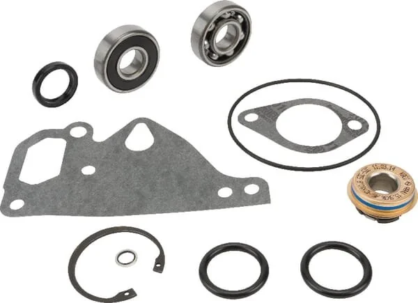 Massey Ferguson AGCO - V836762631 - Water Pump Repair Kit