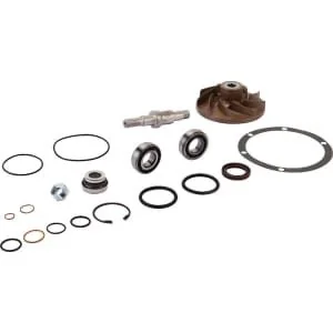 Massey Ferguson AGCO - V836862271 - Water Pump Repair Kit