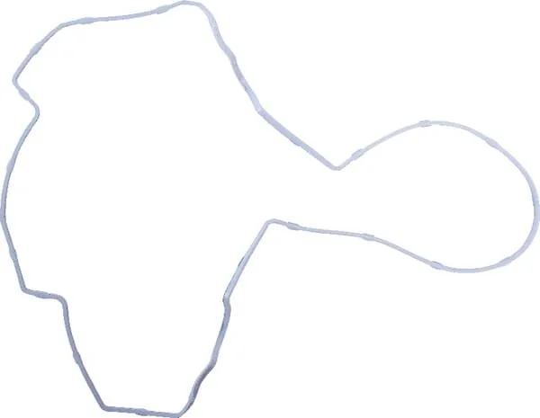 Massey Ferguson AGCO - V837073749 - Rocker Cover Gasket