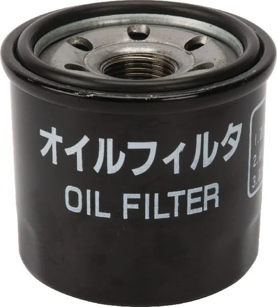 Massey Ferguson AGCO - VA363122 - Oil Filter Complete