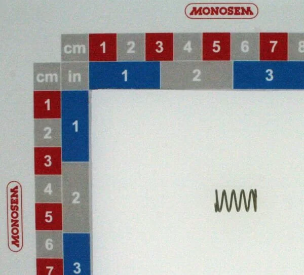 Monosem