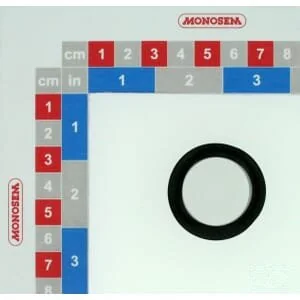 Monosem