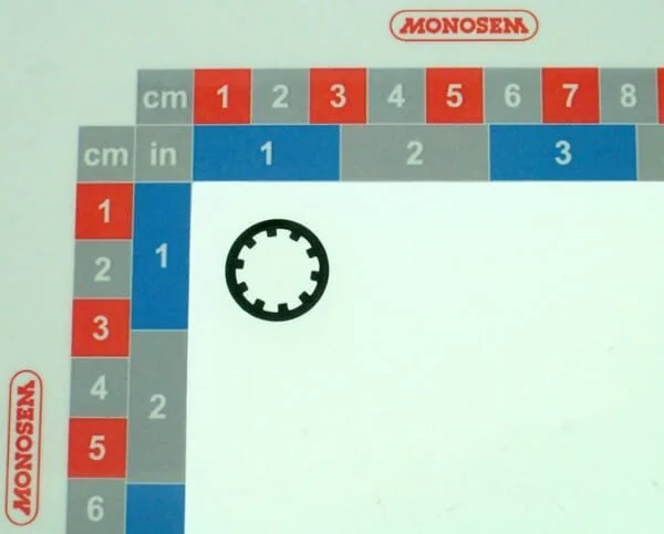 Monosem