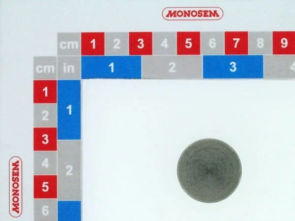 Monosem - 30071043 - Depth Control Nut Sc Unit - 11545