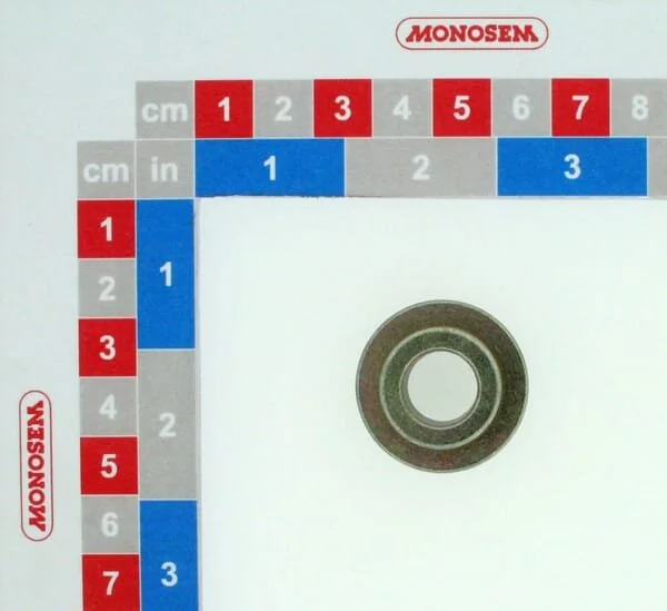 Monosem