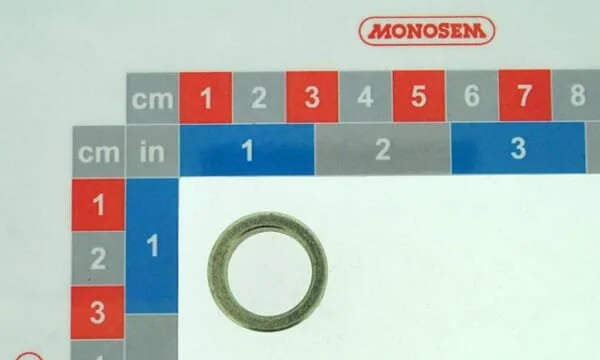 Monosem
