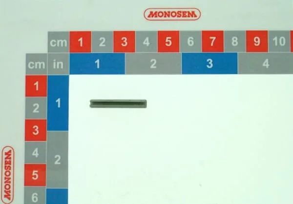 Monosem