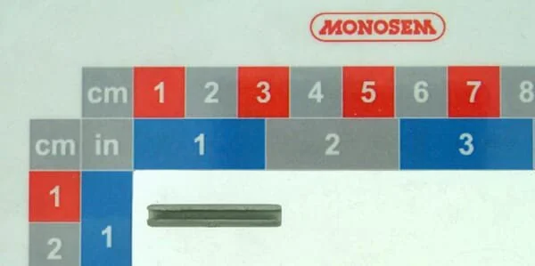 Monosem