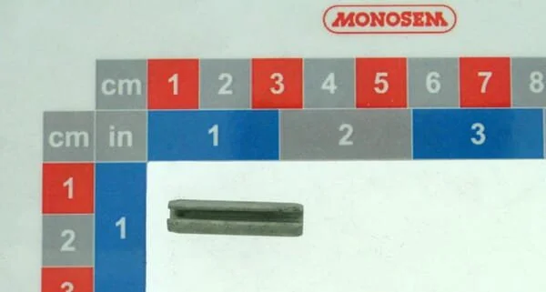 Monosem