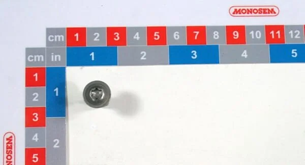 Monosem - 30531010 - Screw TX30 Zn 720h
