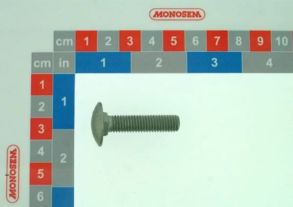 Monosem