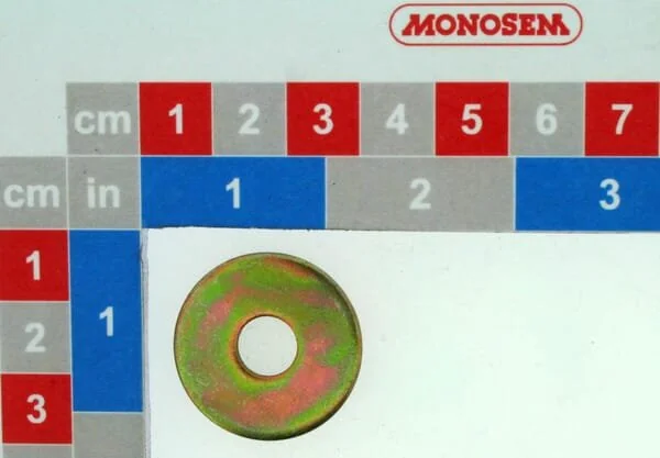 Monosem