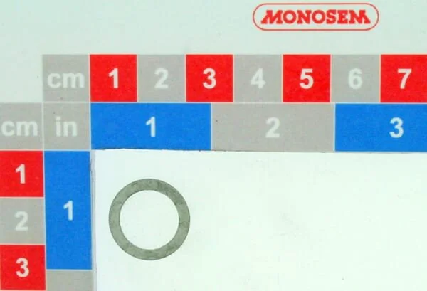 Monosem