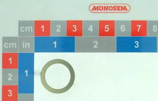 Monosem