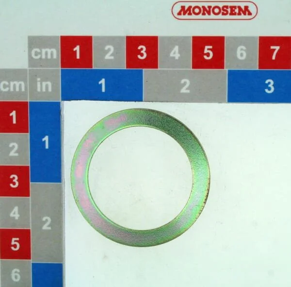 Monosem