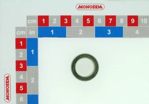 Monosem
