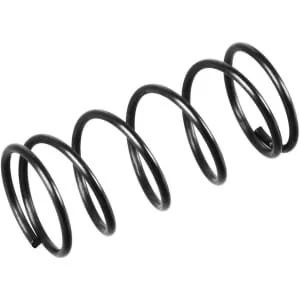 Outils Wolf - 69494 - Compression Spring