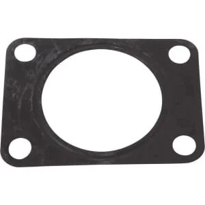 Raico - 000709840N - Manifold Gasket