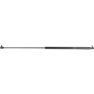 Raico - 001263304N - Shock Absorber Cpt