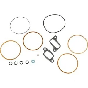 Raico - 00850057610N - Gasket Set