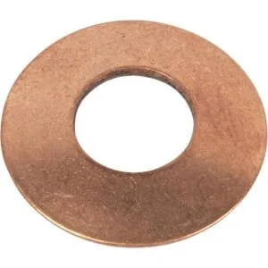Raico - 025546290N - Retaining Ring
