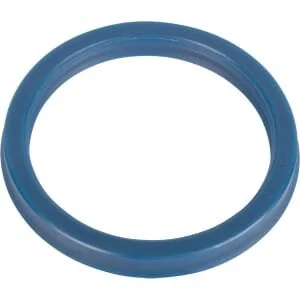 Raico - 21519079010 - Oil Seal