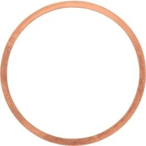 Raico - 21569078010N - Gasket