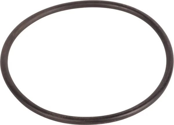 Raico - 3019924X1N - Gasket