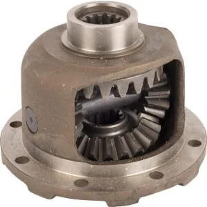 Raico - 3654302M91N - Differential