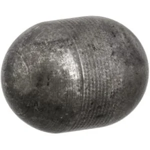 Raico - 5128438N - Pawl