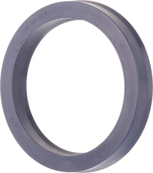 Raico - 9960227N - Ring