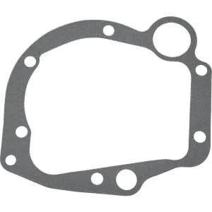Raico - E0NNB483ABN - Pump Gasket