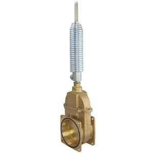 Riv - RIV900396 - Gate Valve Double Flanged With Hydraulic Ram Spring Jack