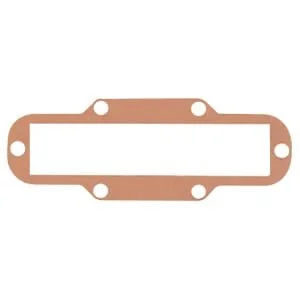 Riv - RIV9834125 - Gasket For Gate Valve PERLA