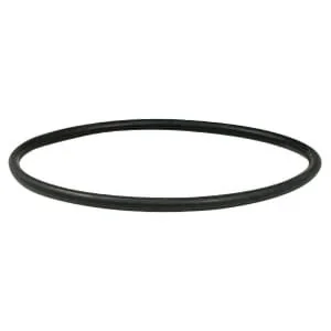 Riv - RIV9858456 - O-Ring For 4''- Flange