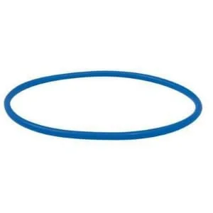 Riv - RIV9859100 - O-Ring For Flange