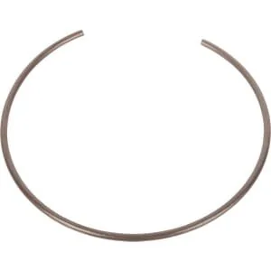 Spicer Dana - 1110601901 - Ring