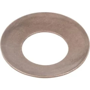 Spicer Dana - 1710401201AN - Friction Washer