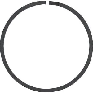 Spicer Dana - 230416 - Segment