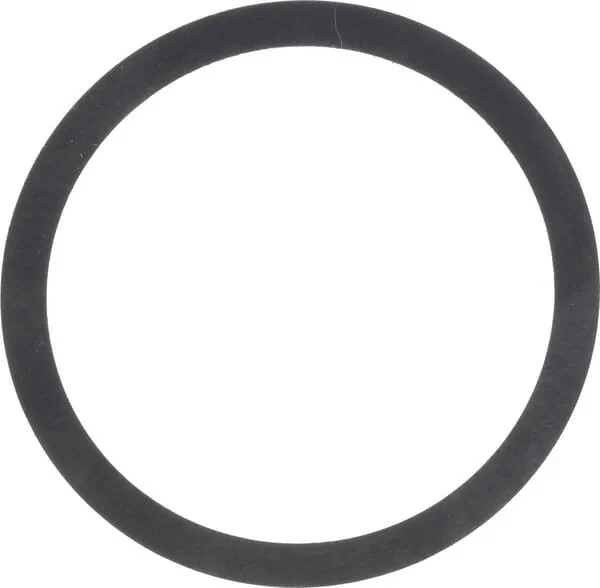 Spicer Dana - 3428254M1N - Shim