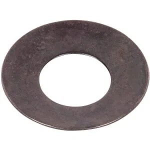 Spicer Dana - 7250401901 - Friction Washer