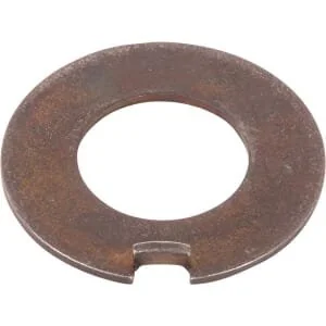 Spicer Dana - 7380602302 - Washer