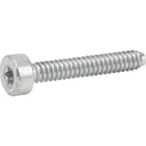 Stihl - 9075-478-4167 - Cylindrical Head Screw IS-D5x32