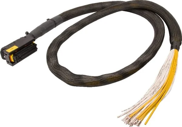 STW - ESX34054 - AMP Plug 81-Pole Code (A) With Cable